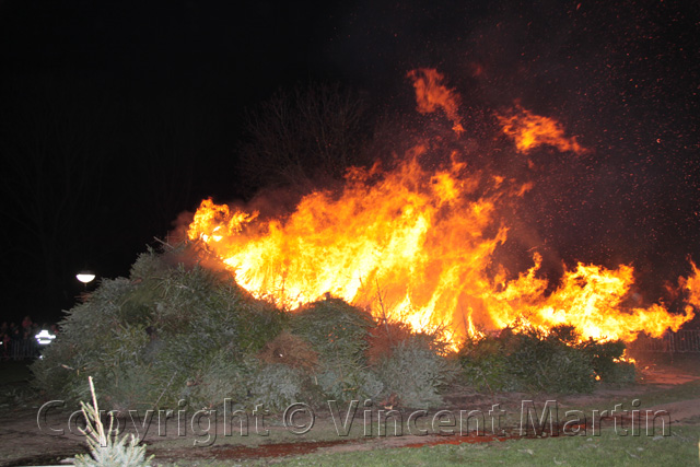 Kerstboomverbranding